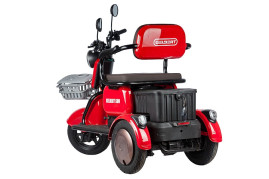 Трицикл электрический Rutrike Gelbert Sun (48/60V, 650W, фиолетово-белый)