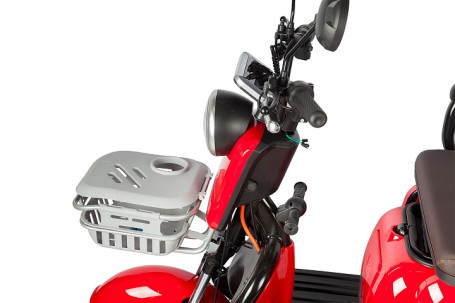 Трицикл электрический Rutrike Gelbert Sun (48/60V, 650W, фиолетово-белый) (0000271-3060)