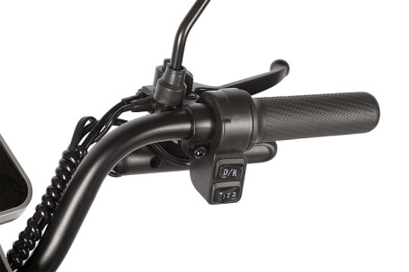 Трицикл электрический Rutrike Gelbert Sun (48/60V, 650W, фиолетово-белый) (0000271-3060)