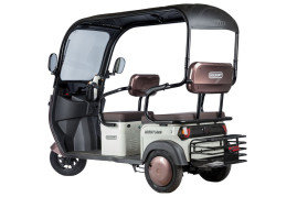 Трицикл электрический Rutrike Gelbert Sarin (48/60V, 1000W, коричнево-белый)
