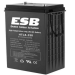 Тяговый аккумулятор ESB HTL6-330 (330Ач, 6В, Gel)