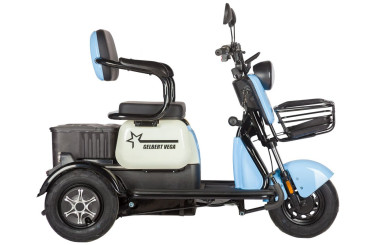 Трицикл электрический Rutrike Gelbert Vega 48V/60V 600Вт (фиолетовый)