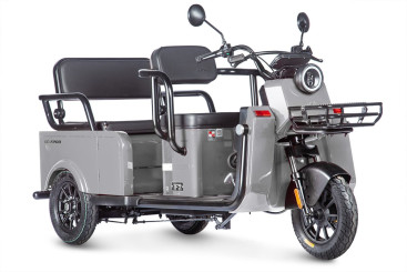 Трицикл электрический Wanshida LC-F200 60V 1000Вт (серый)