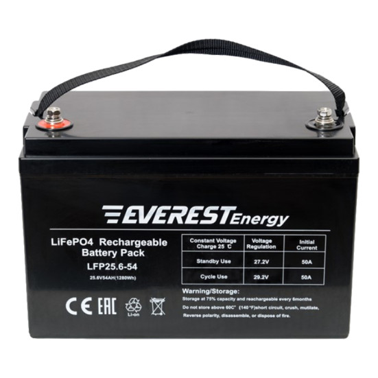 Тяговый аккумулятор Everest Energy (24В, 54Ач, LiFePO4)