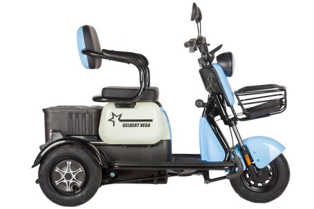 Трицикл электрический Rutrike Gelbert Vega (48/60V, 600W, фиолетовый) (0000136-3067)