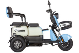Трицикл электрический Rutrike Gelbert Vega (48/60V, 600W, фиолетовый)