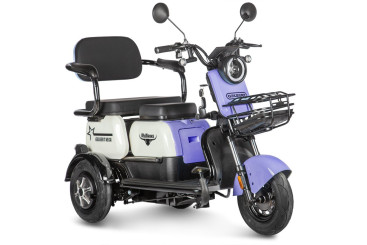 Трицикл электрический Rutrike Gelbert Vega (48/60V, 600W, фиолетовый)