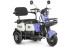 Трицикл электрический Rutrike Gelbert Vega (48/60V, 600W, фиолетовый) (0000136-3067)