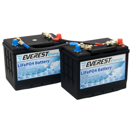 Тяговый аккумулятор Everest Energy (24В, 80Ач (40+40), LiFePO4)