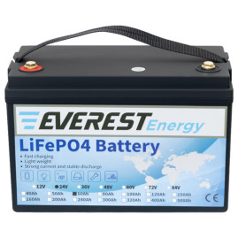 Тяговый аккумулятор Everest Energy (24В, 120Ач (60+60), LiFePO4)