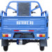 Трицикл электрический Rutrike Круиз 60V/1000W (зеленый)