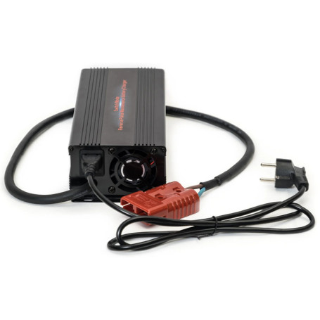 Зарядное устройство EVEREST Energy (24В, 20А, для LiFePO4 АКБ)