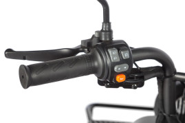 Трицикл электрический Wanshida LC300 (60V, 1000W, зеленый)