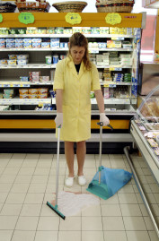 Набор для уборки TTS B-FLY (совок и стяжка для пола)