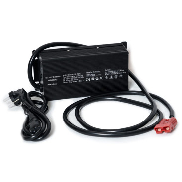 Зарядное устройство EVEREST Energy LFP-2430 (24В, 30А, для LiFePO4)