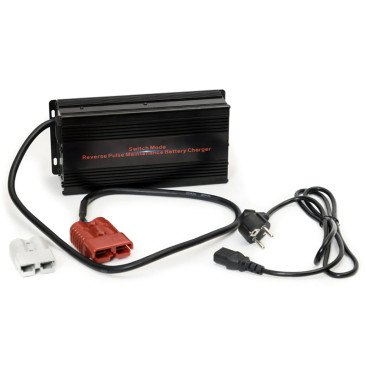 Зарядное устройство EVEREST Energy LFP-2430 (24В, 30А, для LiFePO4)