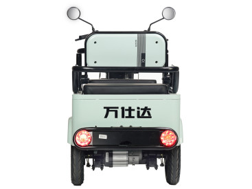 Трицикл электрический Wanshida LC-F150 (60V, 1000W, зеленый)