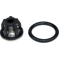 Клапан в сборе Comet 1220009000 (для BP/BPS260,300,330HS)