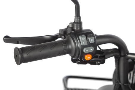 Трицикл электрический Wanshida LC300 60V 1000Вт (зеленый)