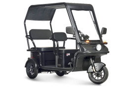 Трицикл электрический Wanshida NIPLA 570 60V 1000Вт (зеленый)