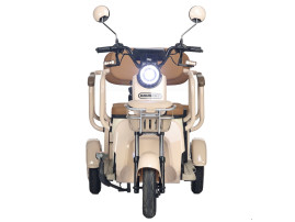 Трицикл электрический Rutrike Gelbert Atlas (48V/60V, 600 Вт, зеленый)