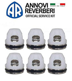 Комплект клапанов Annovi Reverberi 2186 (6шт)