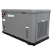 Генератор газовый EVOline GNG 19000 E