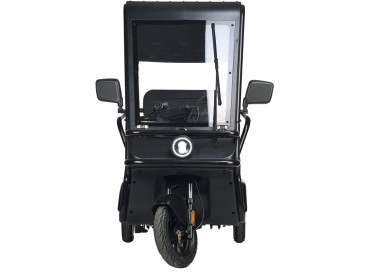 Трицикл электрический Wanshida NIPLA 570 (60V, 1000W, зеленый)