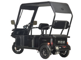 Трицикл электрический Wanshida NIPLA 570 (60V, 1000W, серый)