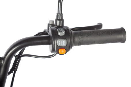 Трицикл электрический Wanshida HOT HATCH 60V 650Вт (черно-зеленый)