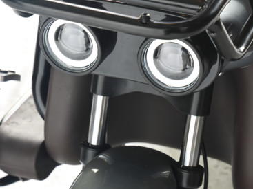 Трицикл электрический Wanshida U1-X (60V, 800W, коричневый)