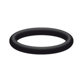 Кольцо для шланга (D14х2.4мм, Viton) R+M