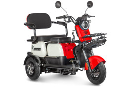 Трицикл электрический Rutrike Вега (красный)