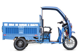 Трицикл электрический Rutrike Гермес Pro 1500 (темно-зеленый)