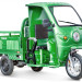 Трицикл электрический Rutrike Гермес Pro 1500 (темно-зеленый)