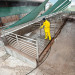 Мойка высокого давления Karcher HD 25/15-4 Cage Plus EU