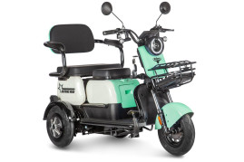 Трицикл электрический Rutrike Вега (черный)